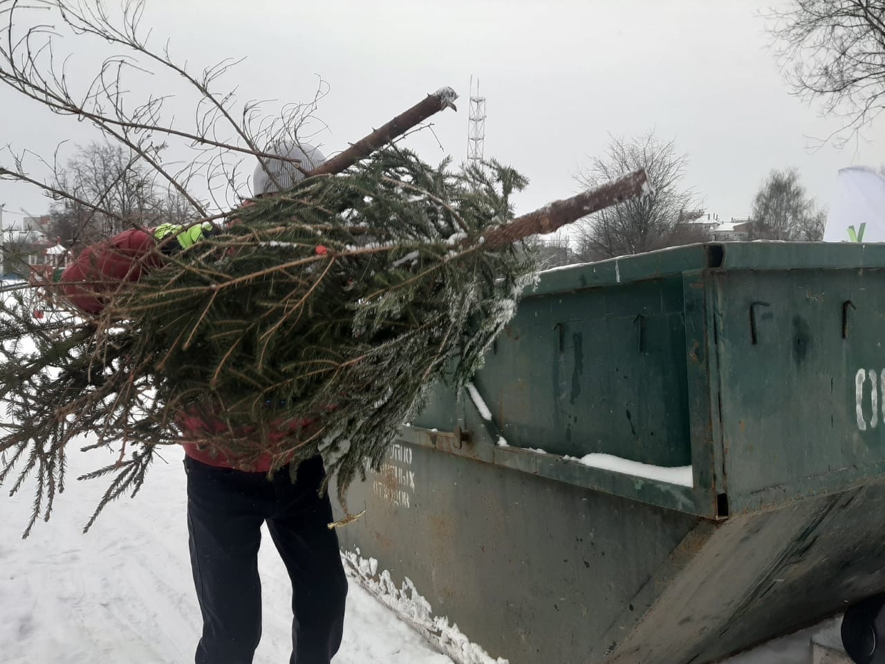 Куда выбрасывать новогоднюю елку.